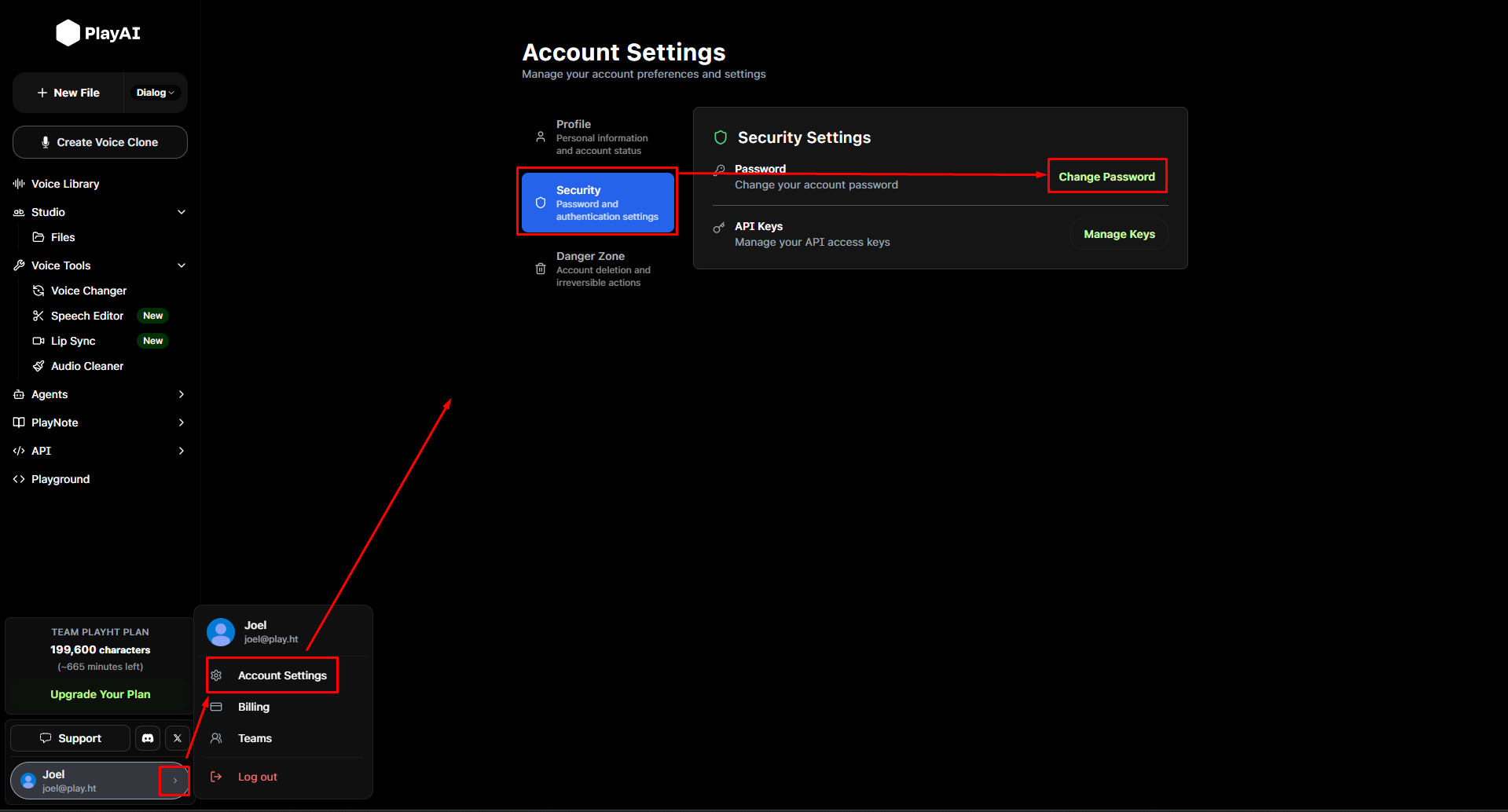Account settings, password change.png